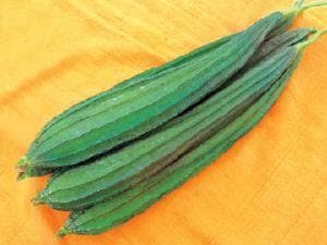 NS 471 Ridge Gourd Seeds - Namdhari | F1 Hybrid | Buy Online at Best Price