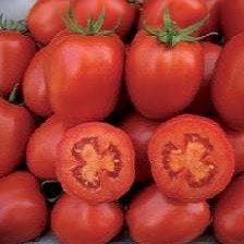 NS 521 Tomato Seeds - Namdhari | F1 Hybrid | Buy Online at Best Price