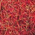 Ojaswi Chilli (HPH-017) Seeds - Syngenta | F1 Hybrid | Buy Online at Best Price