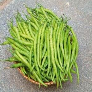 Pragathi Chilli Seeds -Namdhari | F1 Hybrid | Buy Online at Best Price