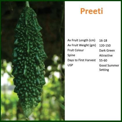 Preeti Bitter Gourd Seeds - Bioseed | F1 Hybrid | Buy Online at Best Price