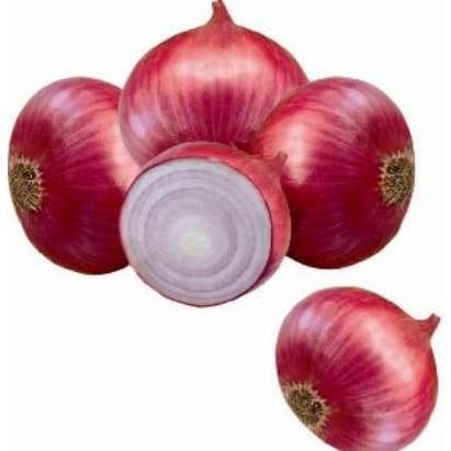 Prema 178 Onion Seeds - East West | F1 Hybrid | Buy Online - DesiKheti