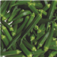 Shakti Bhindi (Okra) Seeds - Nunhems | F1 Hybrid | Buy Online at Best Price