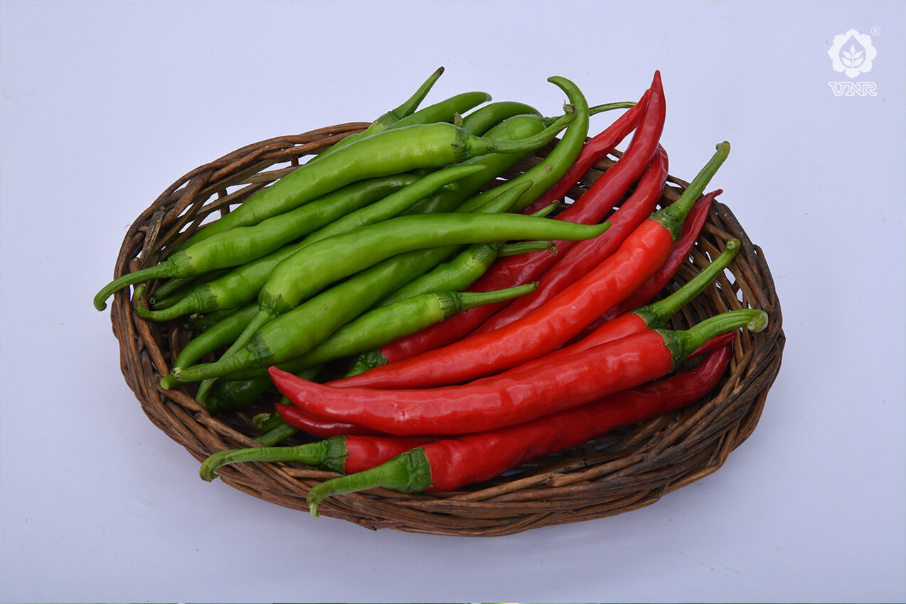 VNR-277 Chilli Seeds | F1 Hybrid | Buy Online at Best Price