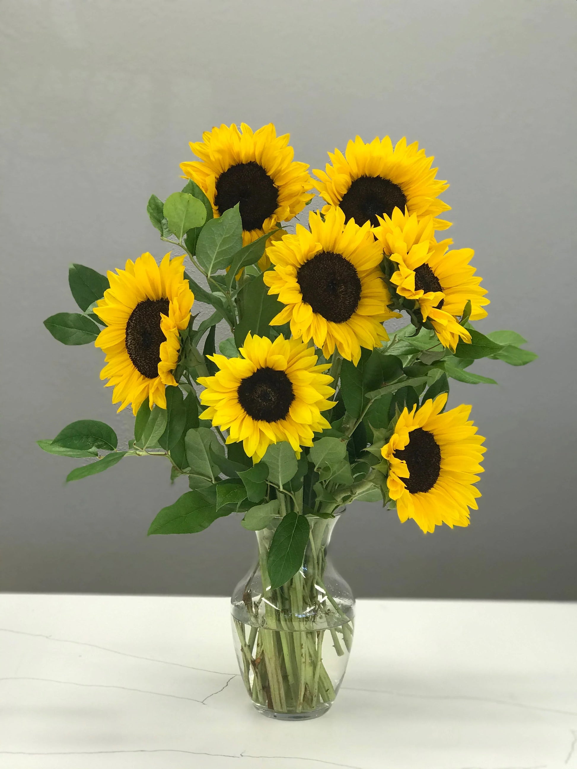 Ornamental Sunflower Sunshine seeds - Known You | F1 Hybrid | Buy Online at Best Price