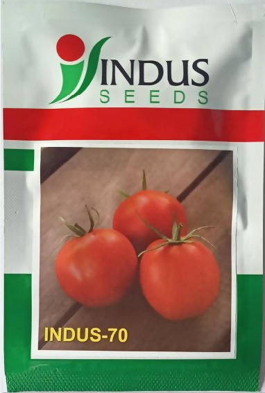 Indus - 70 Tomato Seeds | F1 Hybrid | Buy Online at Best Price